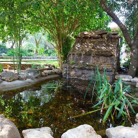 Casa Caramelo Βίλα Medina-Sidonia Εξωτερικό φωτογραφία